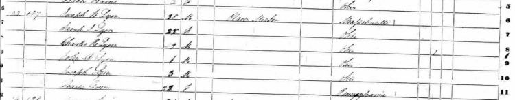 ning-1850censuslistingjosephlyonasaplane