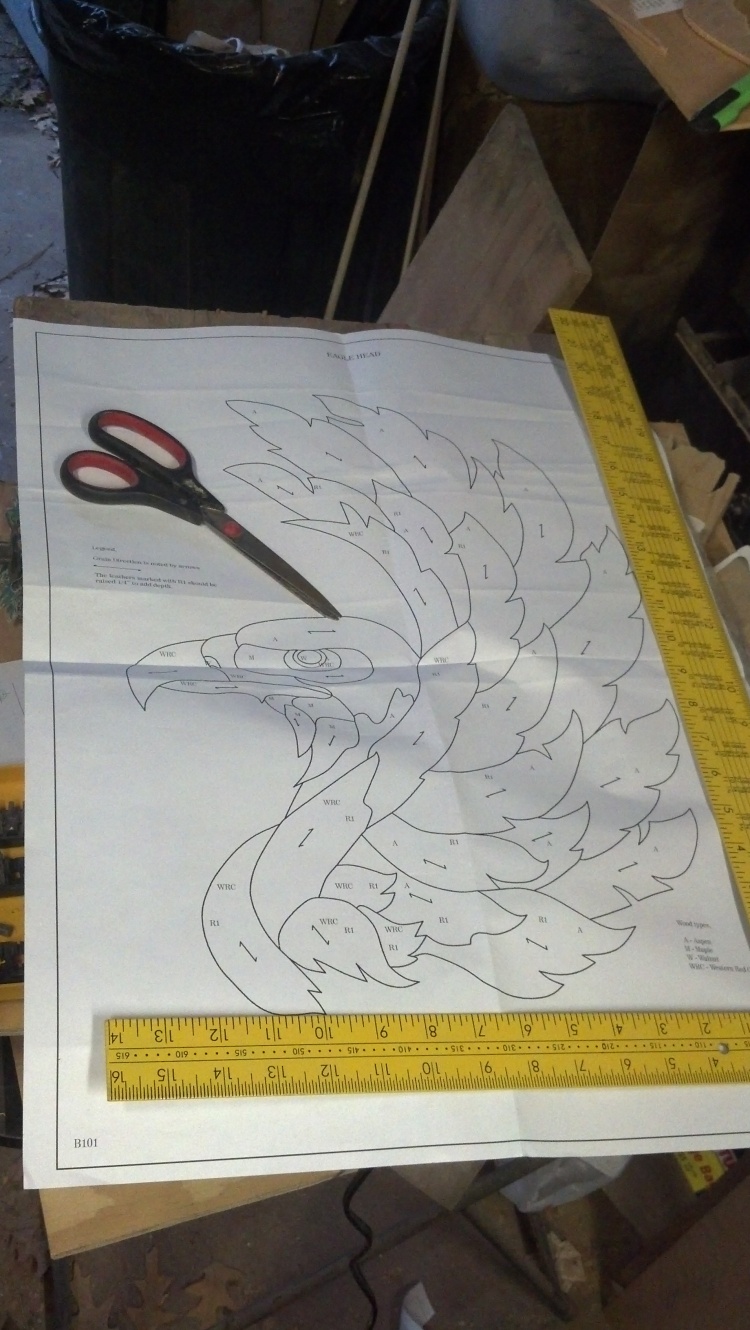ning-20130110-074516-885-18650-4.jpg?wid