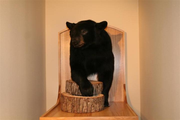 ning-bearmount023medium-52040-91.jpg?wid