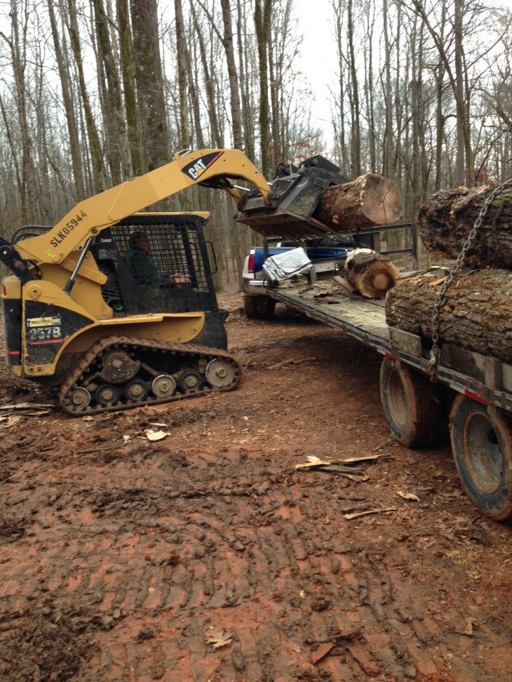 ning-catloading-3180-86.jpg?width=721