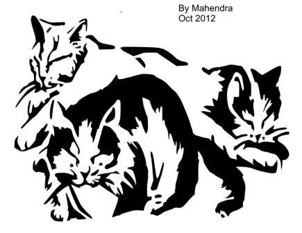 ning-cats-9857-45.jpg