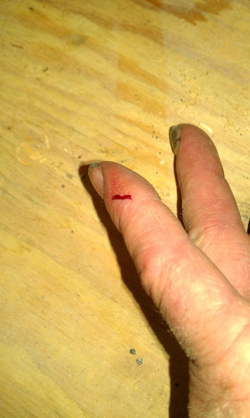 ning-finger-44474-73.jpg?width=500