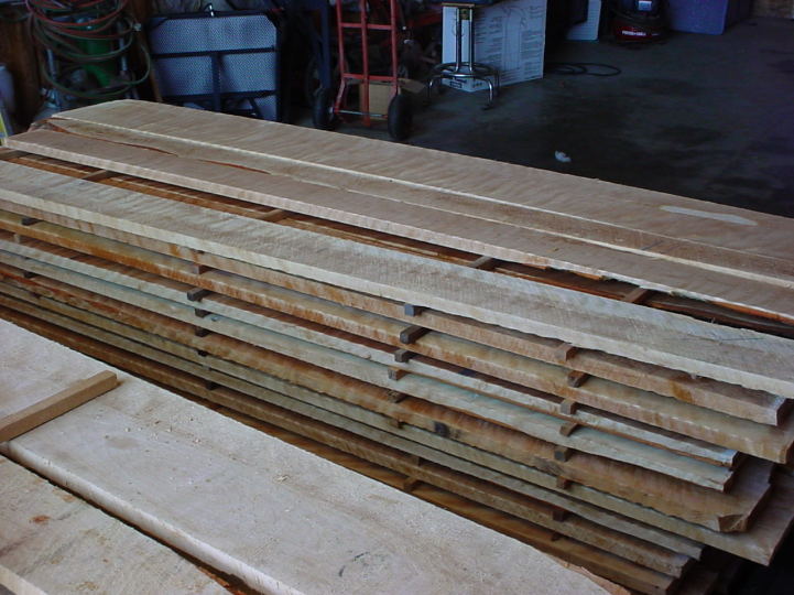 ning-greenflamebirch-45388-80.jpg?width=