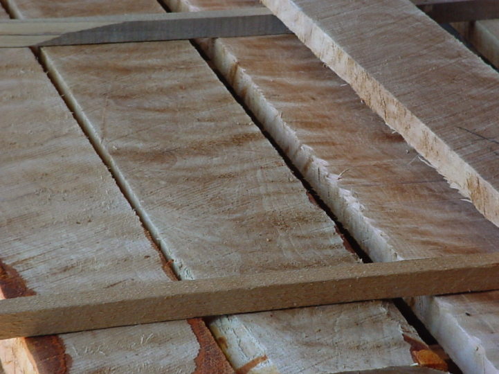 ning-greenflamebirch1-45388-45.jpg?width