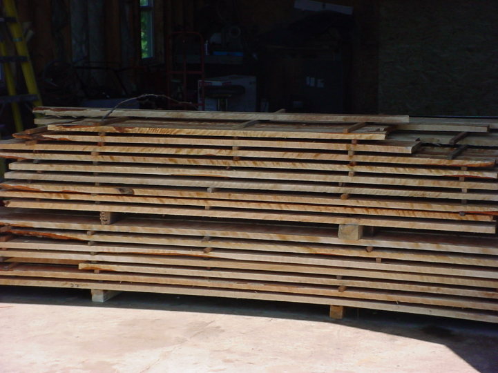 ning-greenflamebirch3-45388-91.jpg?width