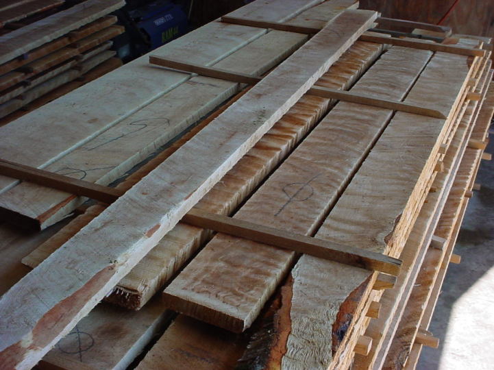 ning-greenflamebirch5-45388-77.jpg?width