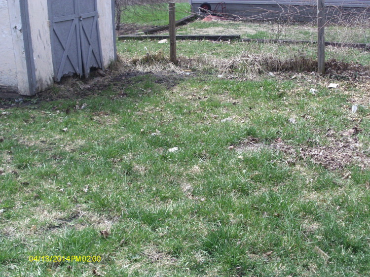 ning-imag0002-3387-8.jpg?width=750