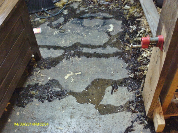 ning-imag0004-3715-85.jpg?width=721