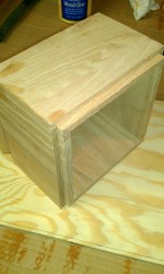 ning-imag0036-44339-46.jpg?width=150
