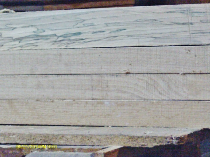 ning-imag0068-2265-16.jpg?width=721