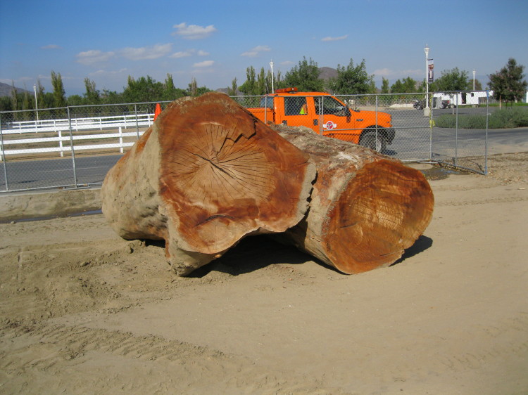 ning-img-0035-36587-33.jpg?width=750