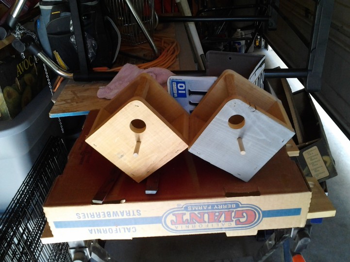 ning-licenseplatebirdhouse-9460-12.jpg?w