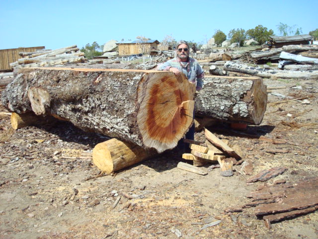 ning-liveoaklogs1-24232-39.jpg