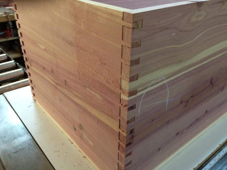 ning-miscutdovetail-15590-34.jpg?width=7