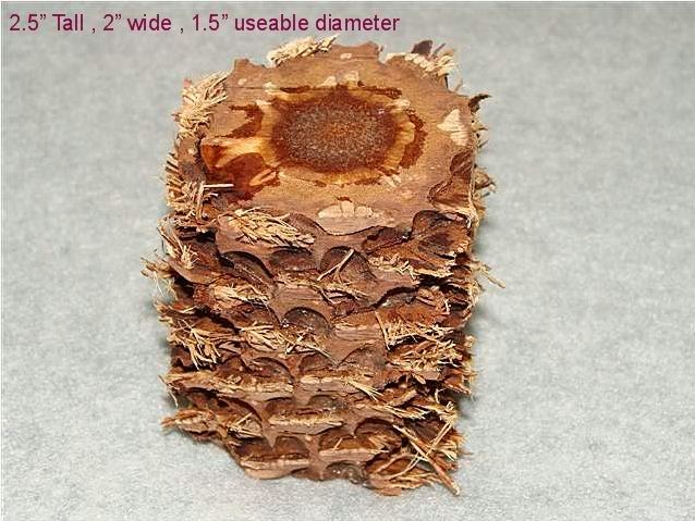 ning-pinecone-52559-82.jpg