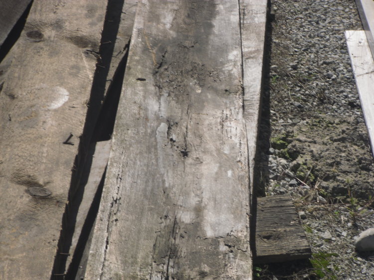 ning-sdc11847-37531-75.jpg?width=750