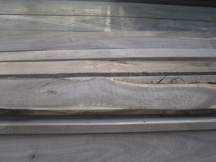 ning-sdc11856-39887-97.jpg?width=750