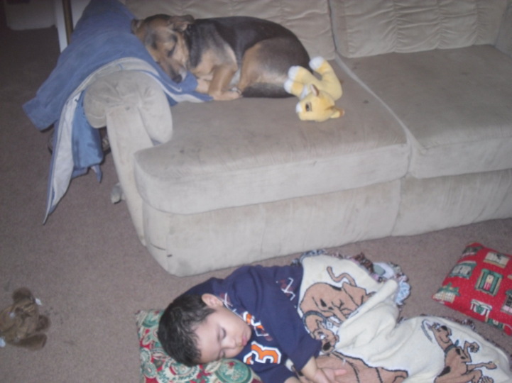 ning-sdc11936-36982-27.jpg?width=721