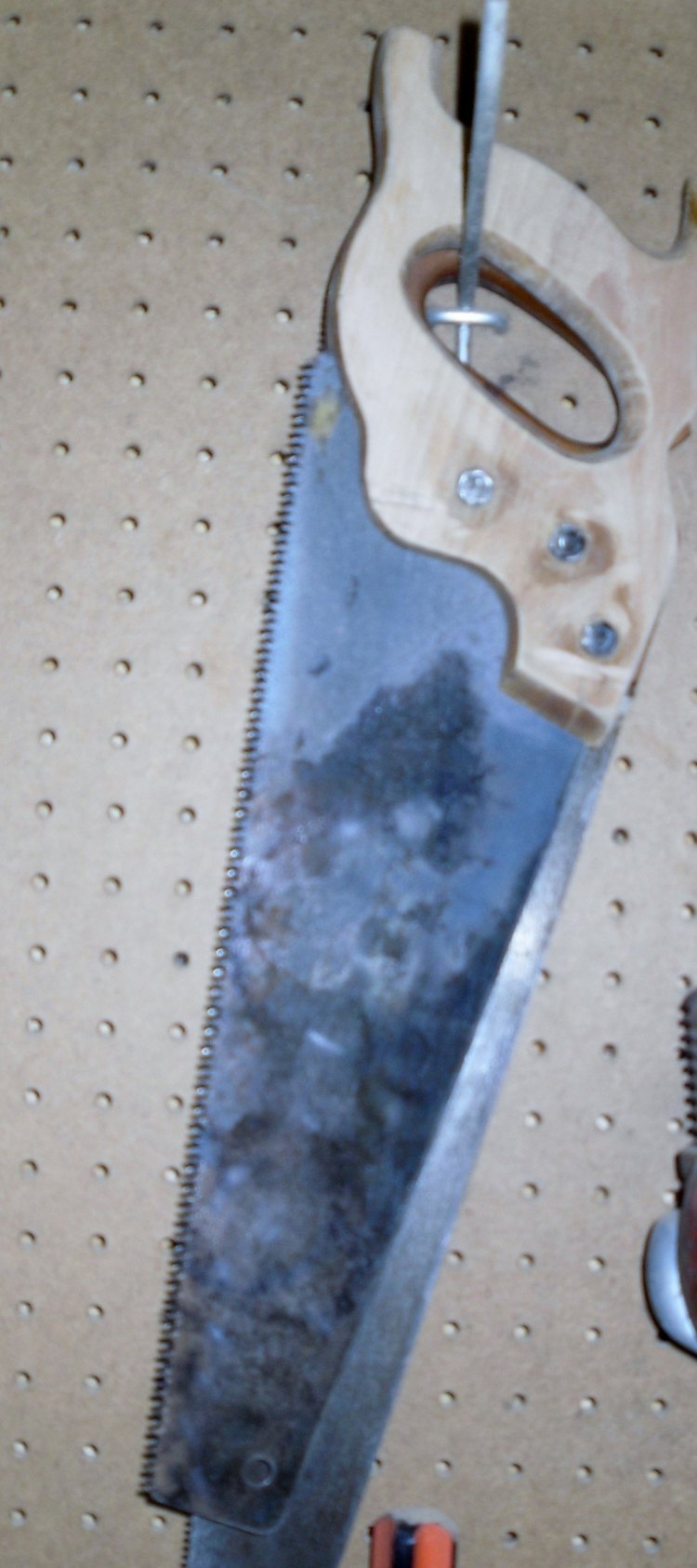 ning-sdc12394-30960-5.jpg?width=750