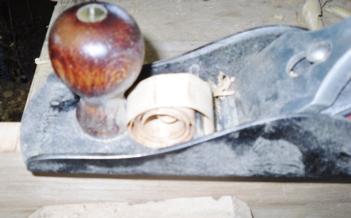 ning-sdc13004-25985-19.jpg?width=721