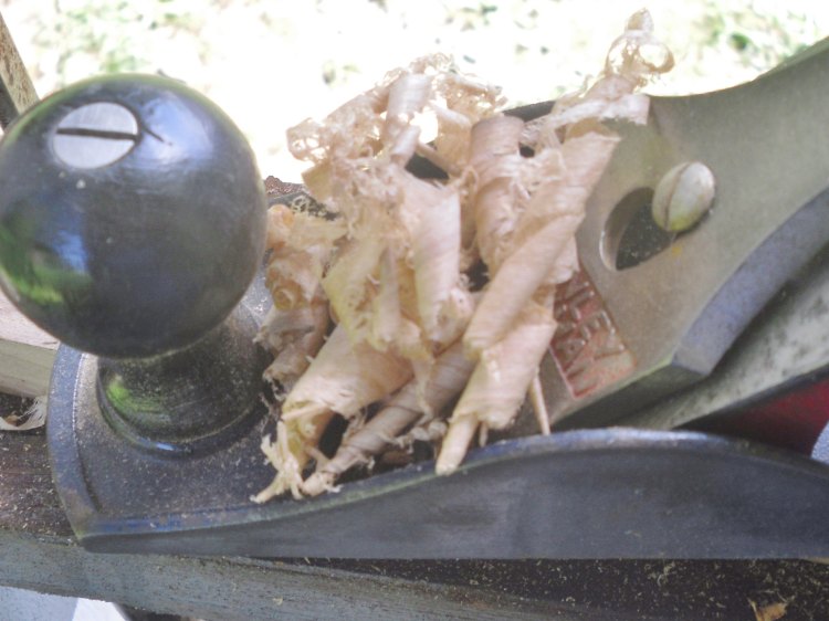 ning-sdc13234-25337-36.jpg?width=750