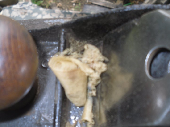 ning-sdc13346-24753-52.jpg?width=721