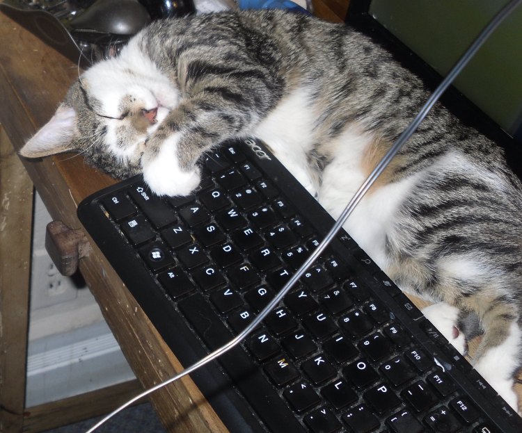 ning-sdc14010-19064-65.jpg?width=750
