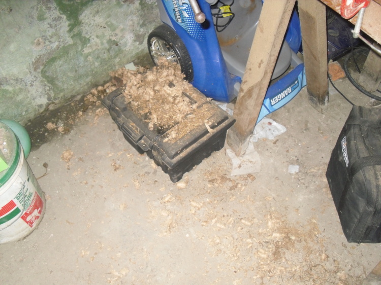 ning-sdc14212-17891-17.jpg?width=750
