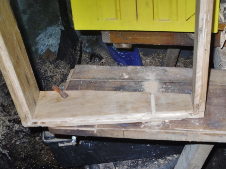ning-sdc14905-14274-18.jpg?width=750