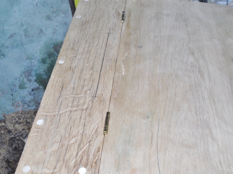 ning-sdc14910-14274-33.jpg?width=750