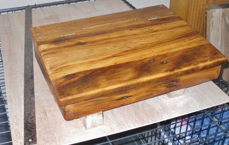 ning-sdc14925-14242-24.jpg?width=750