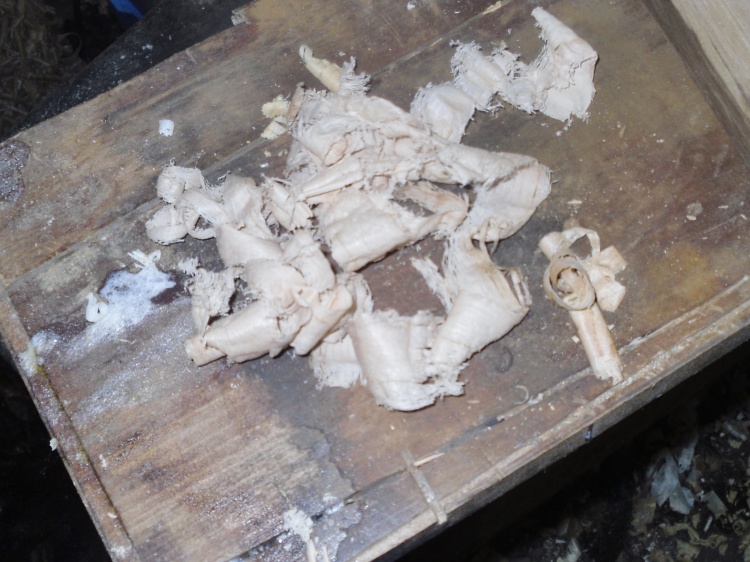 ning-sdc15108-13595-13.jpg?width=750