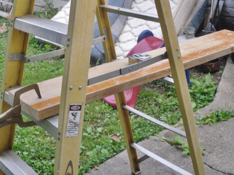 ning-sdc15782-9407-67.jpg?width=750