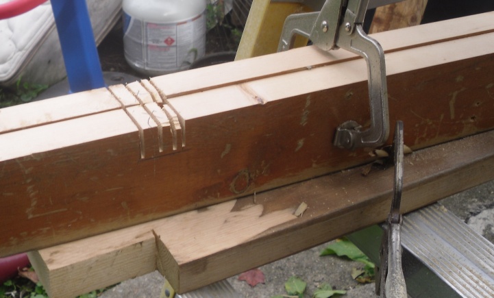 ning-sdc15831-9109-31.jpg?width=721
