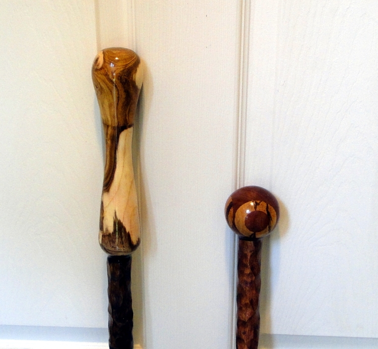 ning-walkingsticktopsm-24824-35.jpg?widt