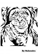 More information about "Chimp"