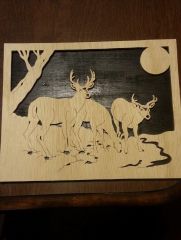 Deer in moonlight