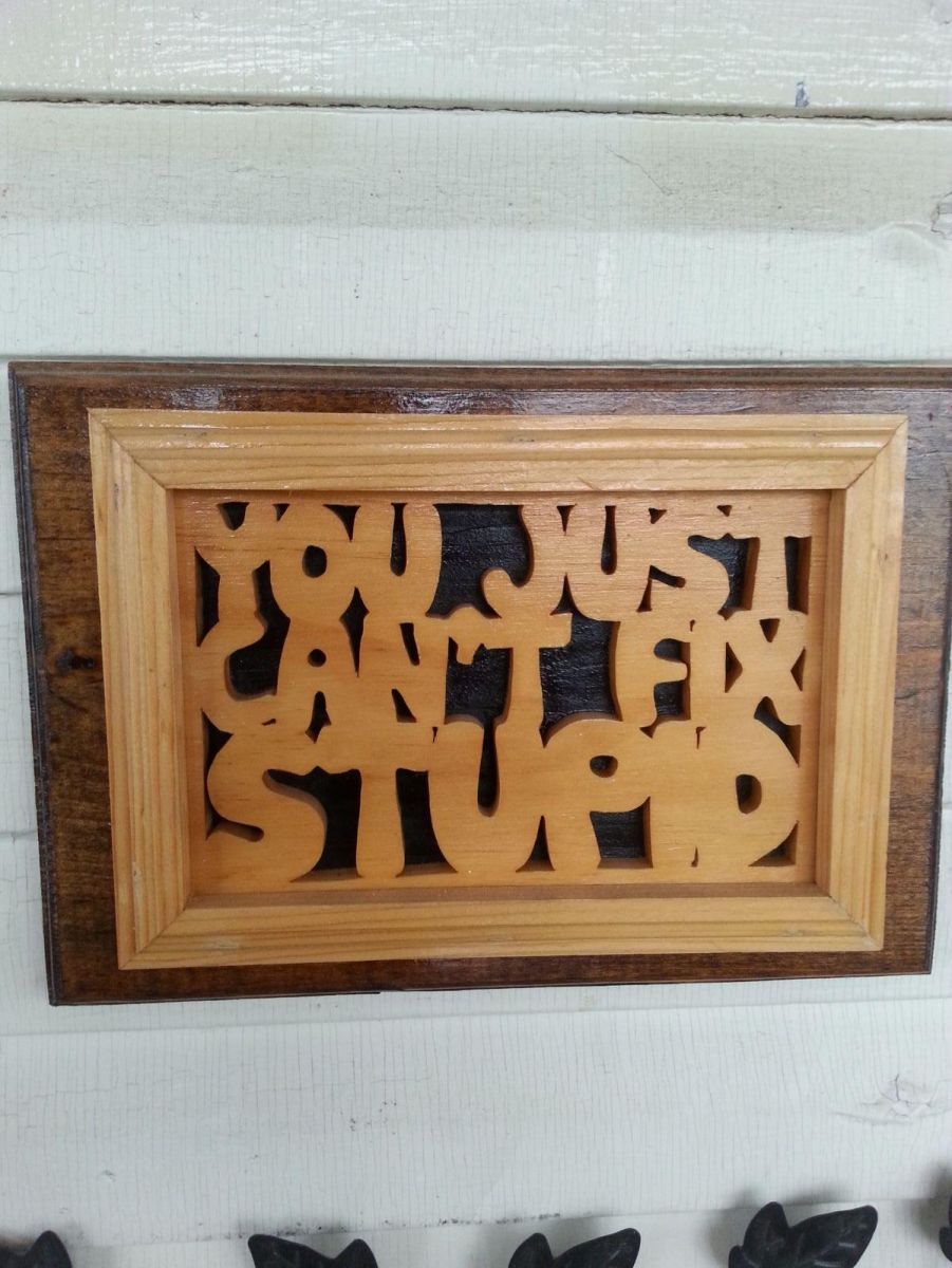 Stupid Stupid