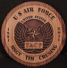 US Air Force TACP