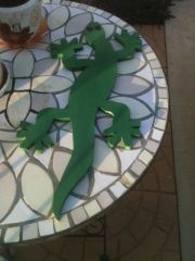 gecko