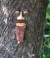 tree face 006