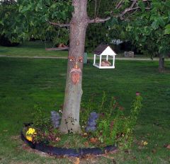 tree face 005