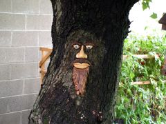 tree face 003