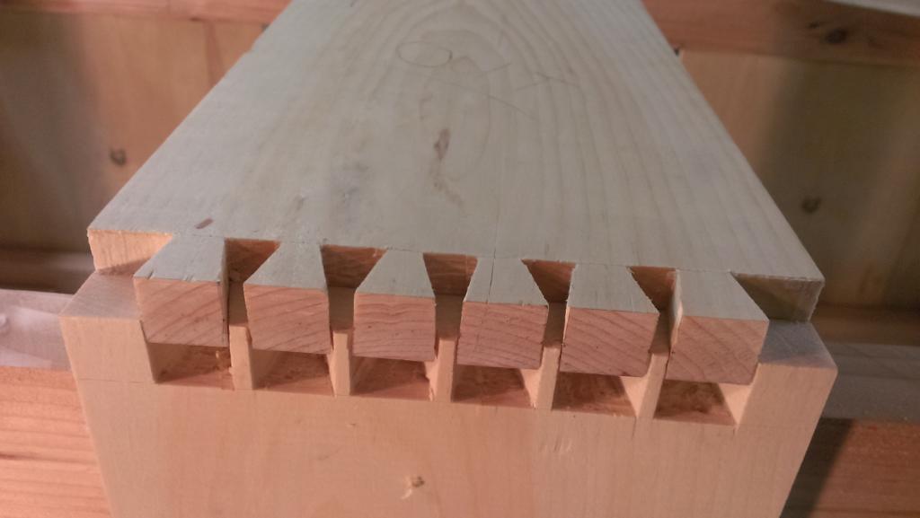 001FIRSThandcutDT_zps6ba304c4.jpg