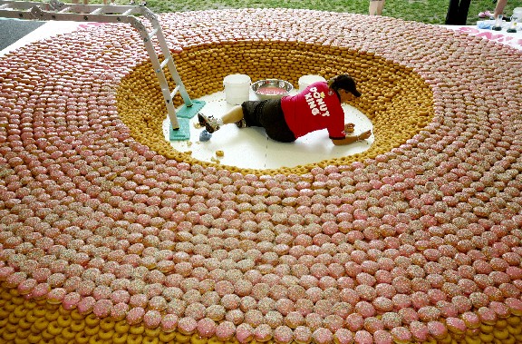 Image result for world's biggest donut
