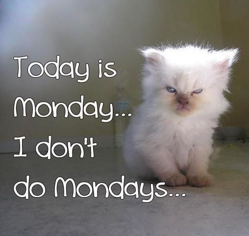 Image result for I don't do mondays