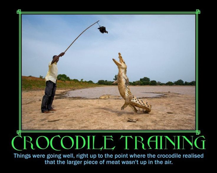 3e2d1cc962b018d6ad81c1e9610f91a1--darwin