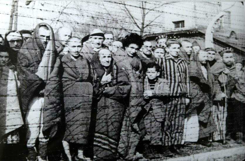 5. Polish Catholic midwife StanisBawa LeszczyDska              delivered 3,000 babies at the Auschwitz concentration camp              during the Holocaust in occupied Poland.