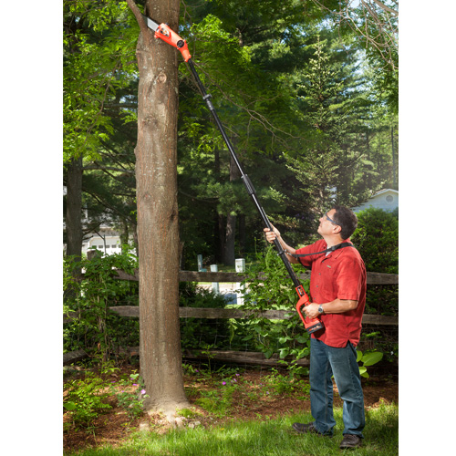 Image result for pole saw