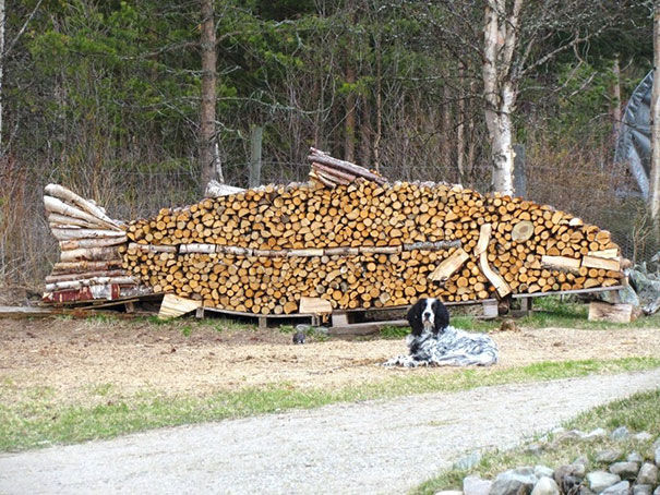 6-fish-wood-stack